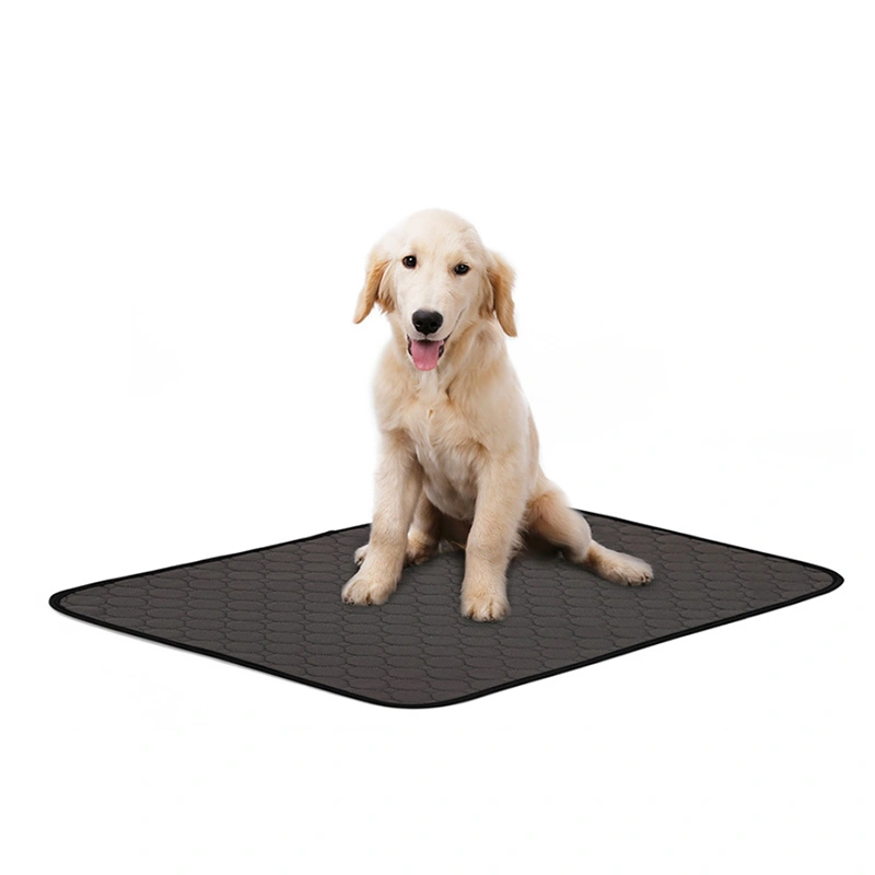 Dog changing pad absorbent pad