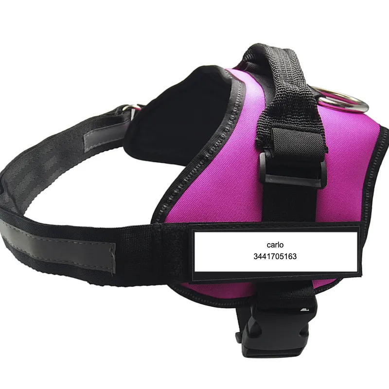 Personalize dog harness Dog name