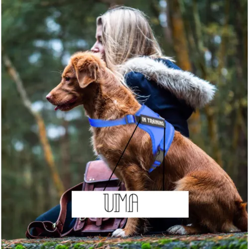 Uma