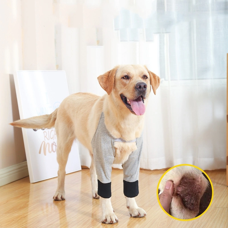 Pet Knee Pads For Cold And Warmth Protection