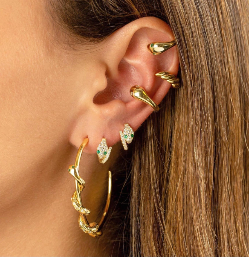 Light Luxury Snake Shaped Earring Set