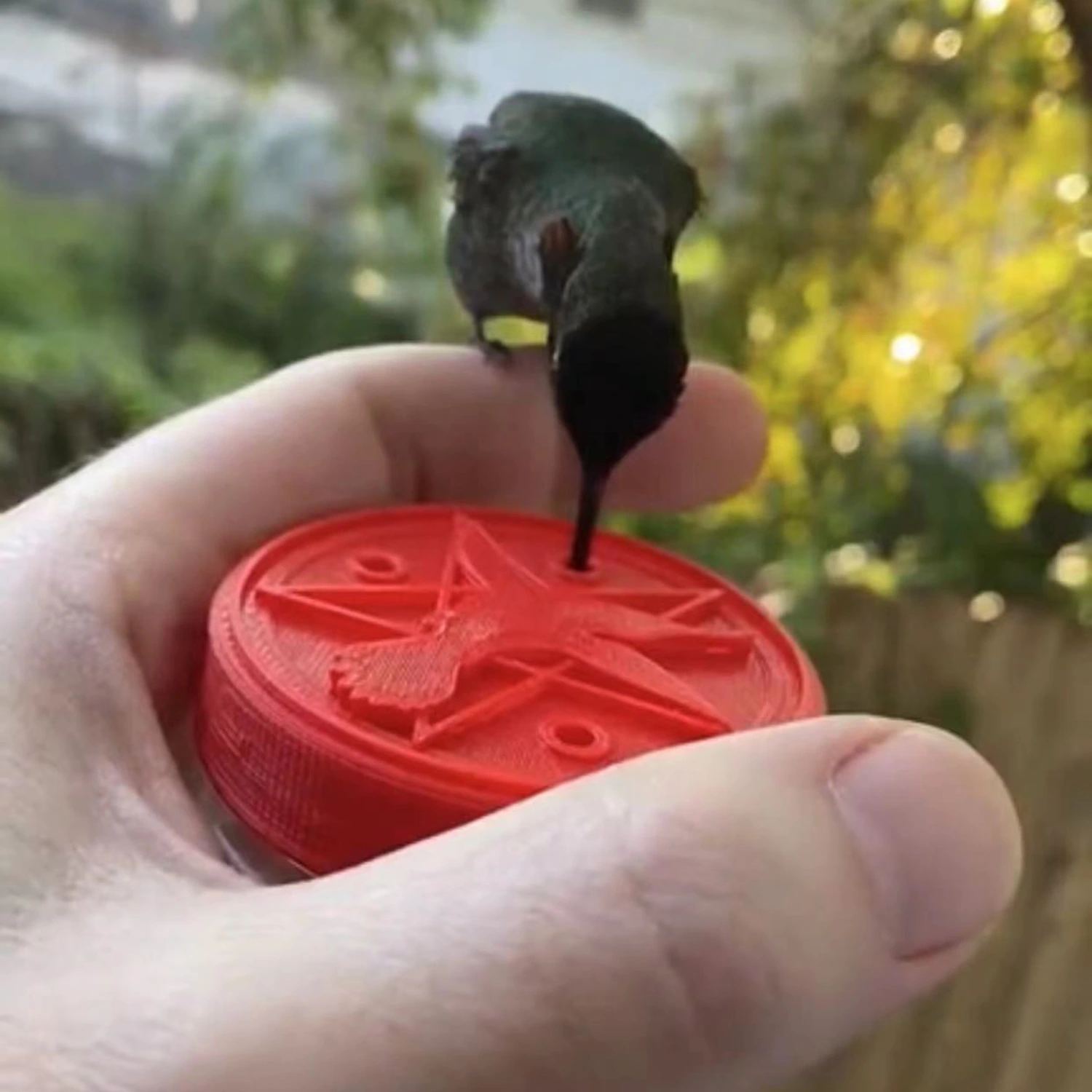 Handheld Bird Feeder Anti-deform Eye-catching Sturdy Anti-cracking Bird Food Holder Garden Supplies
