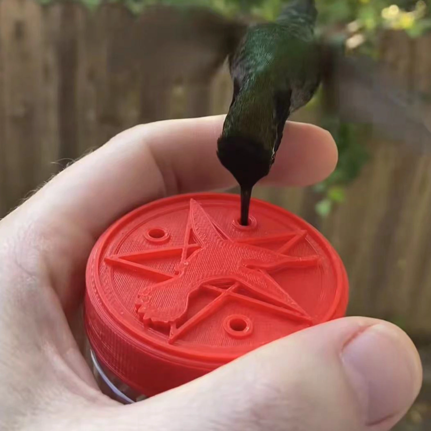 Handheld Bird Feeder Anti-deform Eye-catching Sturdy Anti-cracking Bird Food Holder Garden Supplies