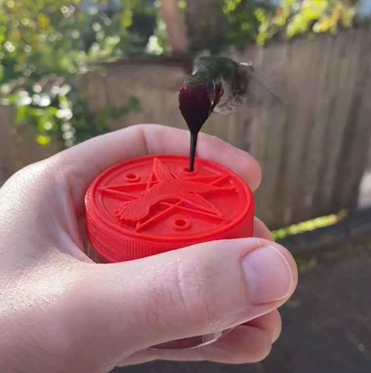 Handheld Bird Feeder Anti-deform Eye-catching Sturdy Anti-cracking Bird Food Holder Garden Supplies