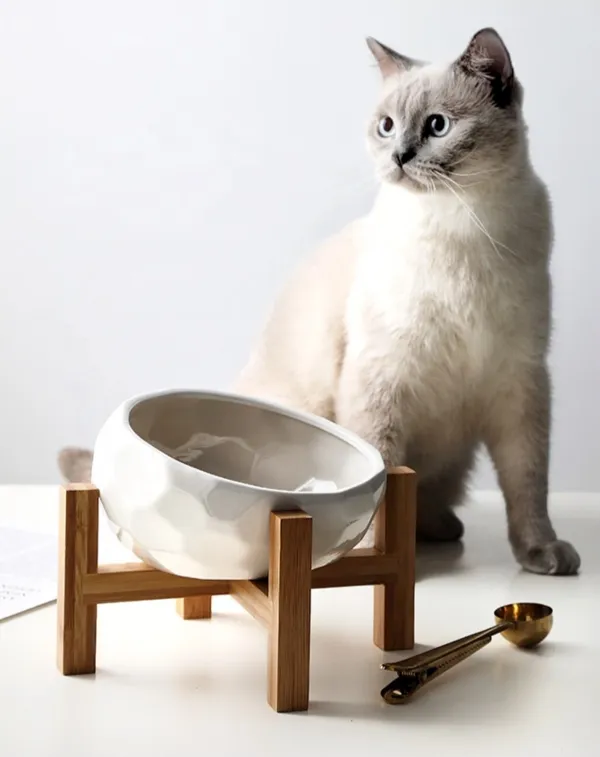 Pet bowls