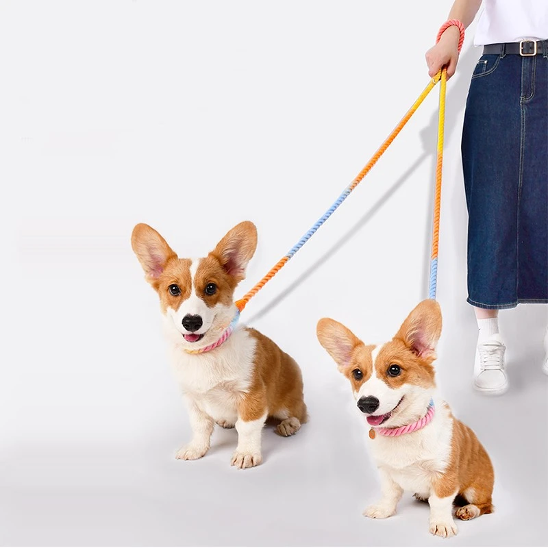 Multi Functional Dual Head Pet Dog Leash