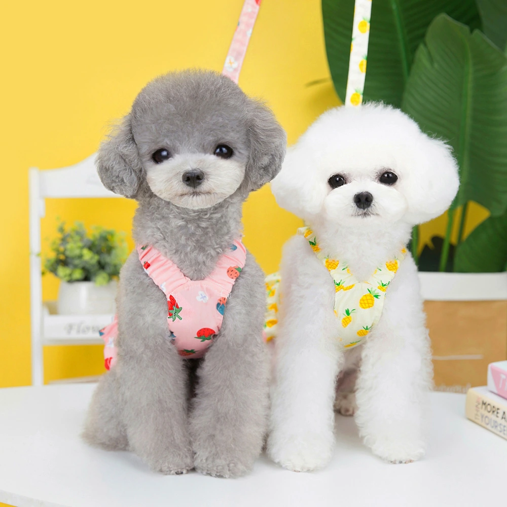 Pet Clothes Dog Fruit Skirt With Rope