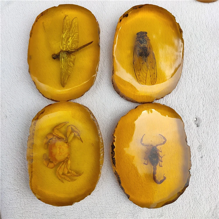 Antique Crafts Resin Amber Insect Specimen Decoration