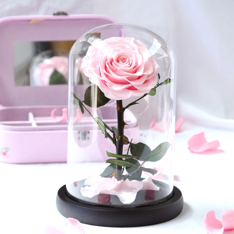 Christmas Valentine's Day Handmade Holiday Gift Box Preserved Flower Little Prince Rose Glass Cover