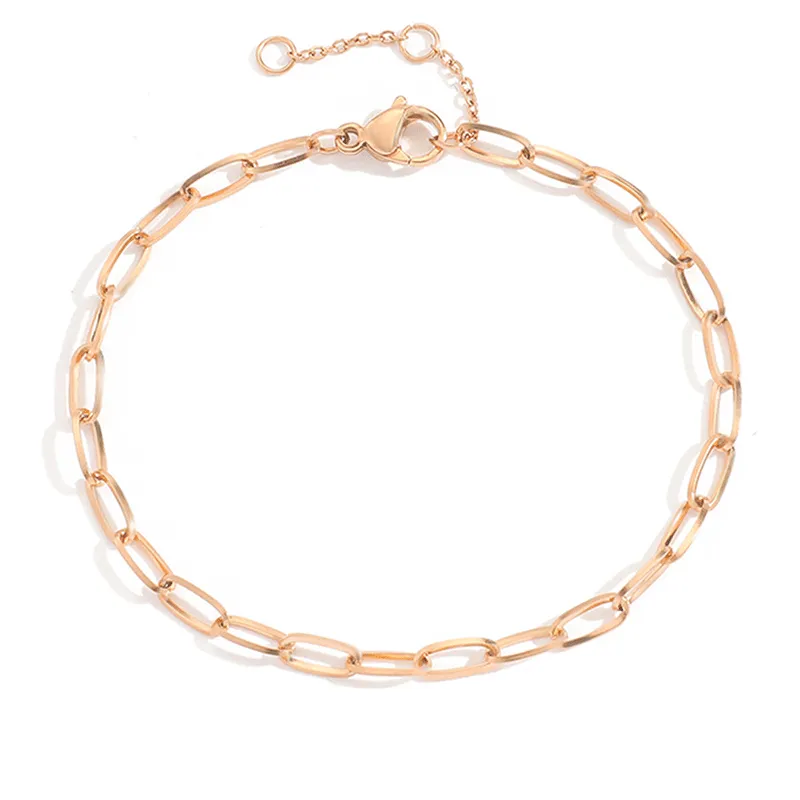 Maybelle Gold Clip Chain Bracelet