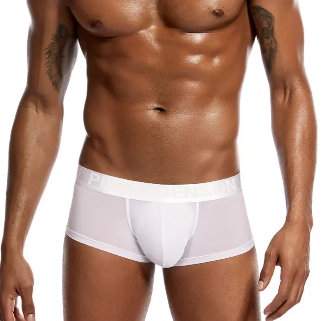 Nylon Ice Silk Underwear Men's Boxer Wide Rubber Band Low Waist Sexy