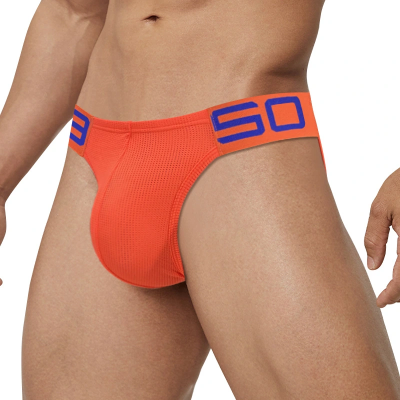 Men's Triangle Underwear Nylon Mesh