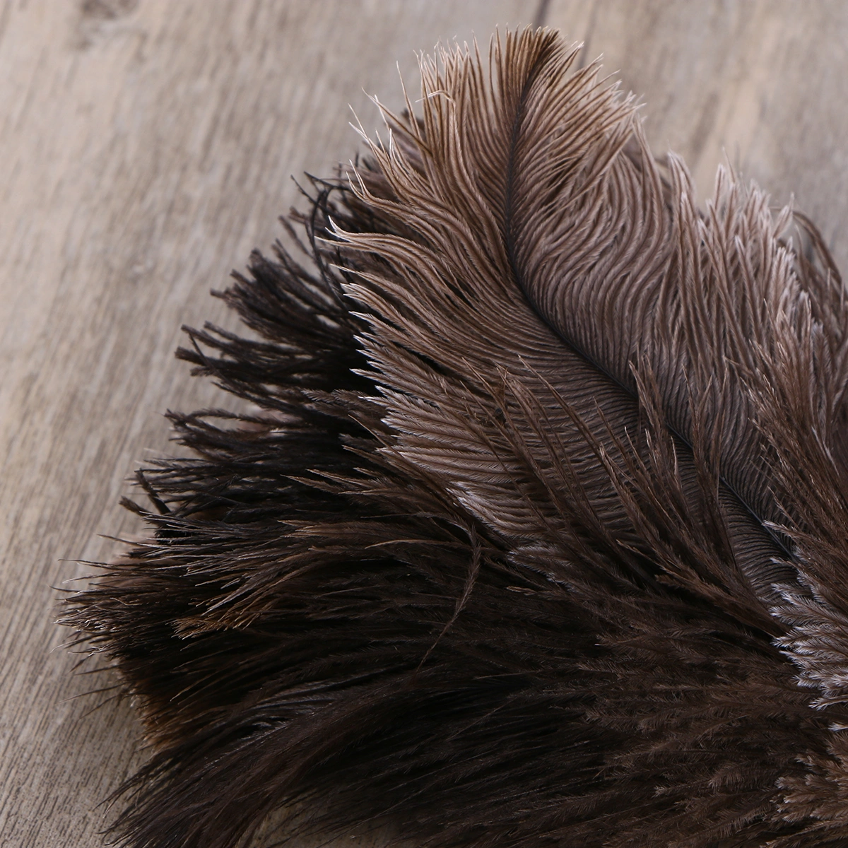 Ostrich Duster Feather Dusters with Long Plastic Handle Cleaning Brush Tool
