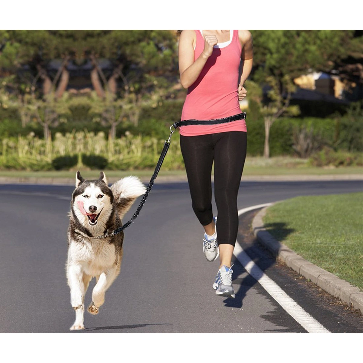 Hands Free Running Dog Lead, Adjustable Waist Belt Perfect for Jogging Hiking Walking, Dog Lead Leash Bungee Harness for Running