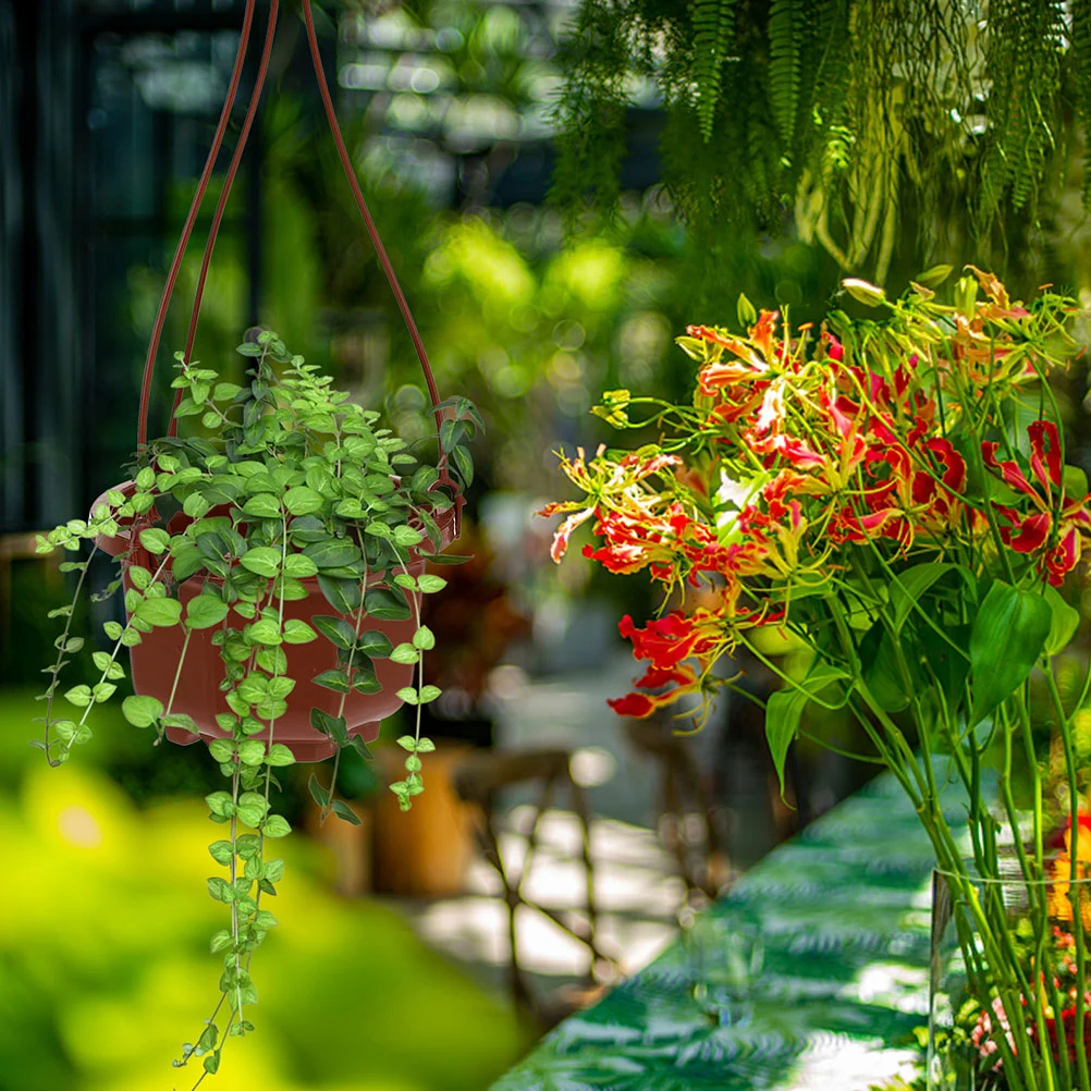 10 Sets Plastic Hanging Flower Pots Chlorophytum Pots Planter with Hanging Hook
