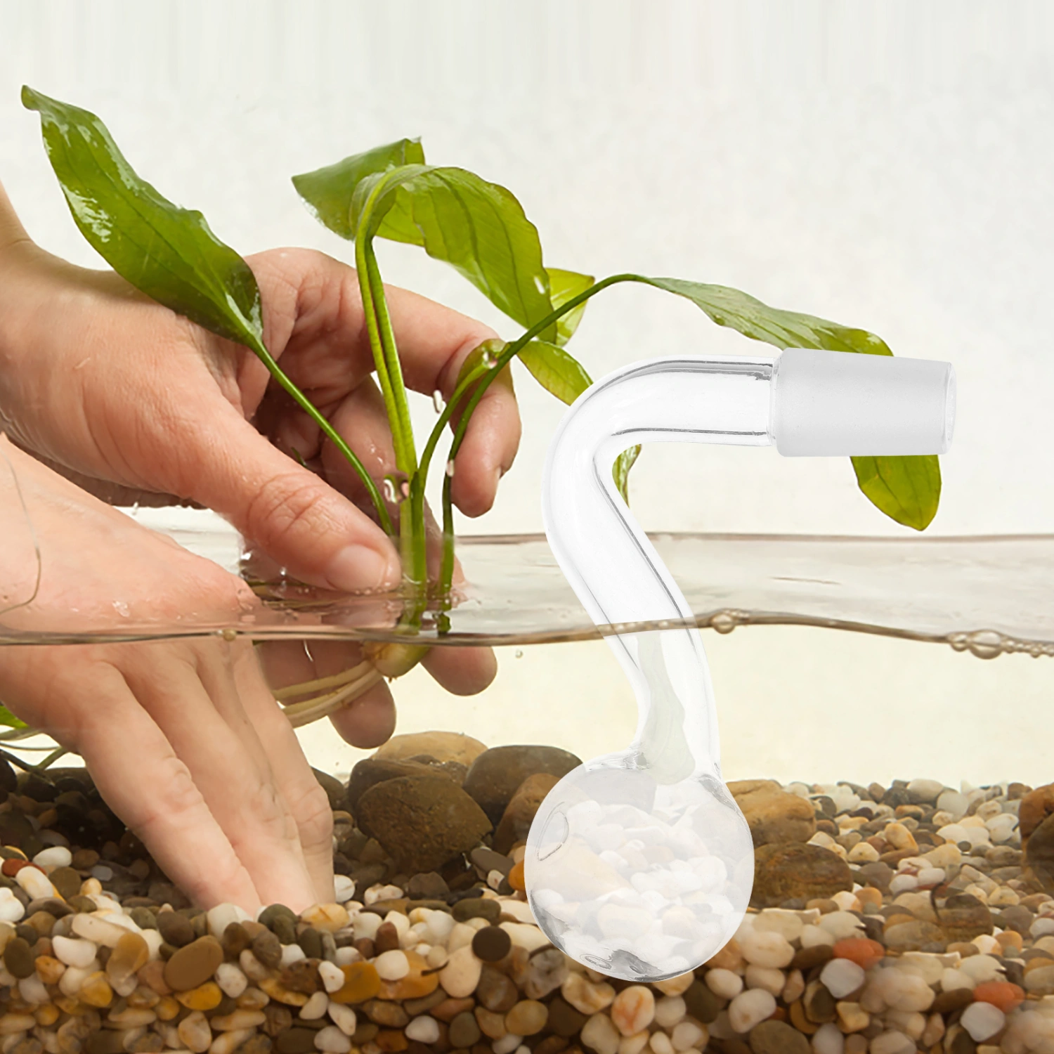6Pcs Glass Water Pipe Aquarium Bend Tube Tank Water Inlet Pipe Aquarium Supply