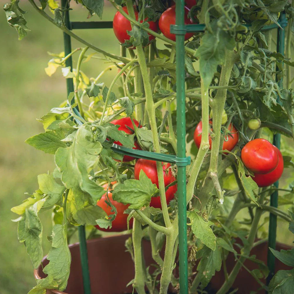 12pcs Tomato Cage Stake Arms Deformable Plant Supports Tomato Stakes Tomato Cage Trellis