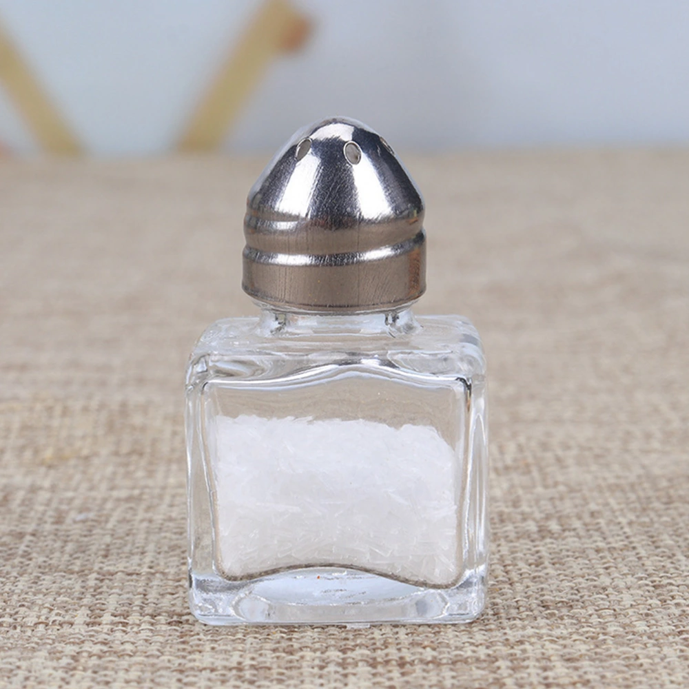 10Pcs Mini Salt Shakers Multifunctional Condiment Bottles Portable Spice Jar