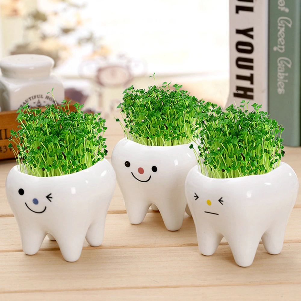 3pcs Teeth Shaped Plant Pots Small Ceramics Flowerpot Succulents Bonsai Planter Pots