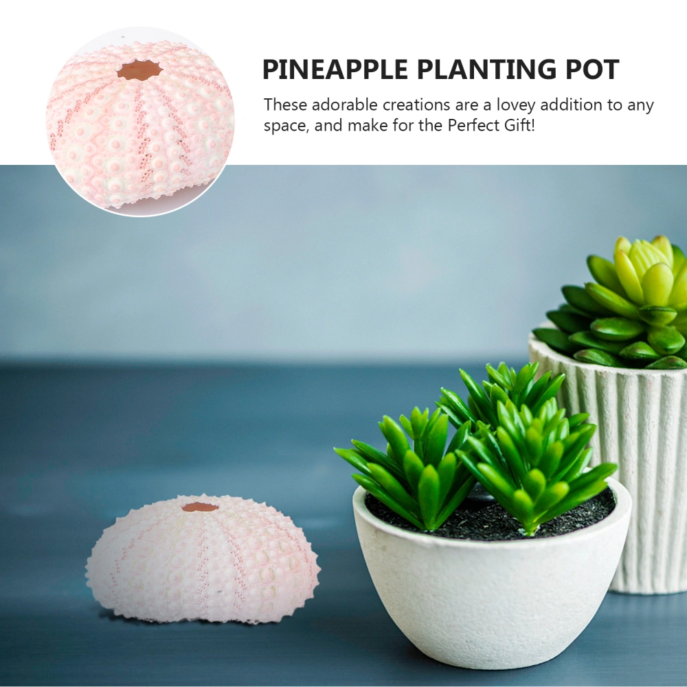 4Pcs Natural Sea Urchin Shells Conch Shells Creative Pineapple Containers DIY Handmade Pineapple Planting Pots (Random Color)