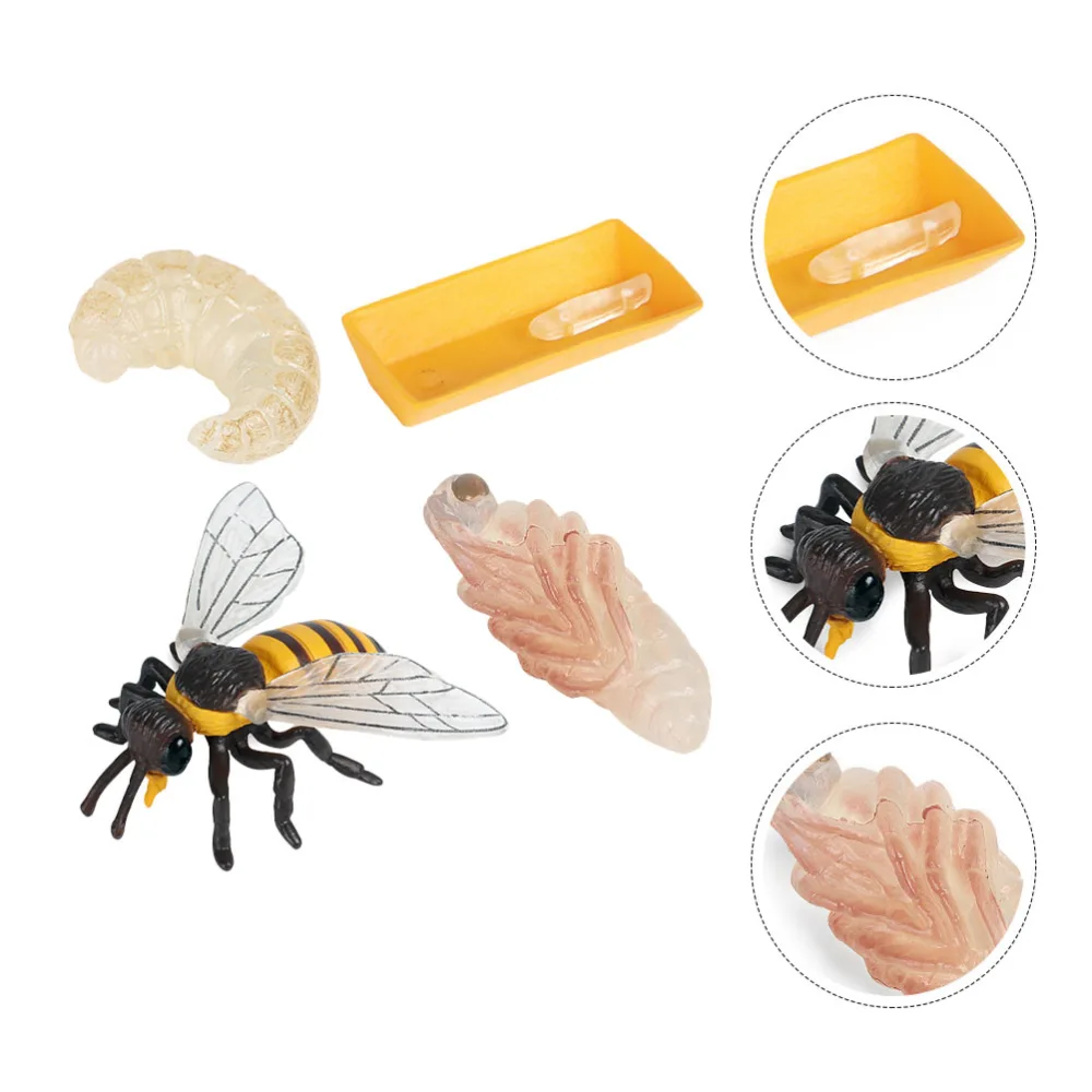 1 Set/4pcs Simulation Bee Life Cycle Model Bee Cognitive Model Toys for Kids