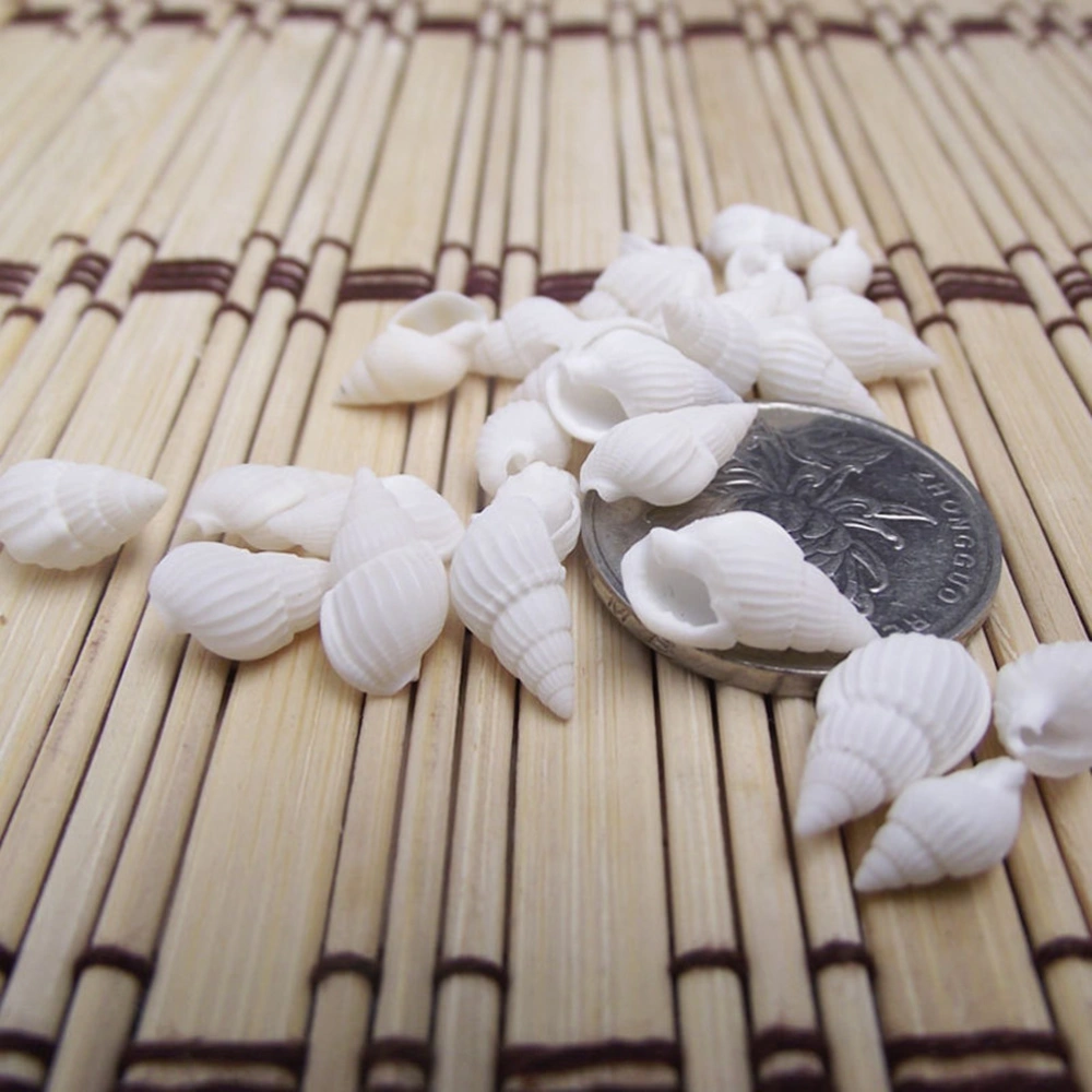 100pcs White Mini Sea Shell Conches Craft Wedding Garden Aquarium Decoration