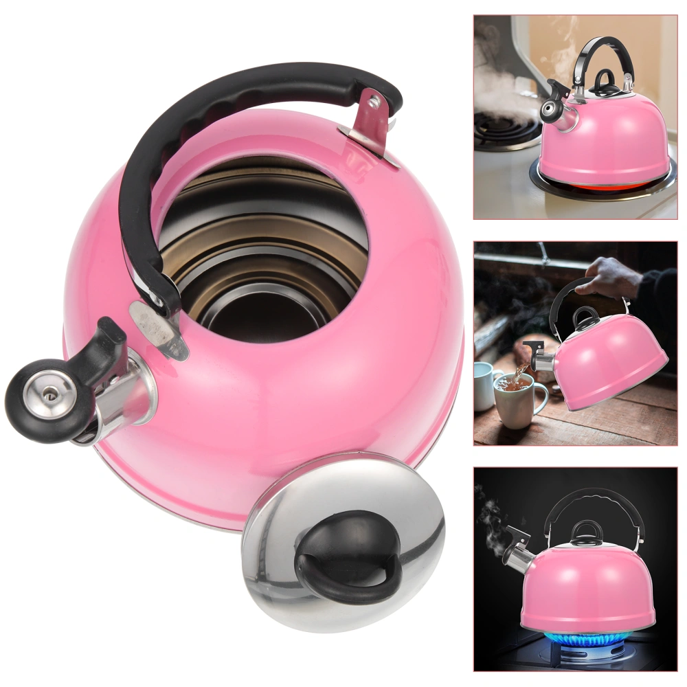 Hot Water Pot Practical Kettle Convenient Pot With Handle Kettle Pot for Boiling Water