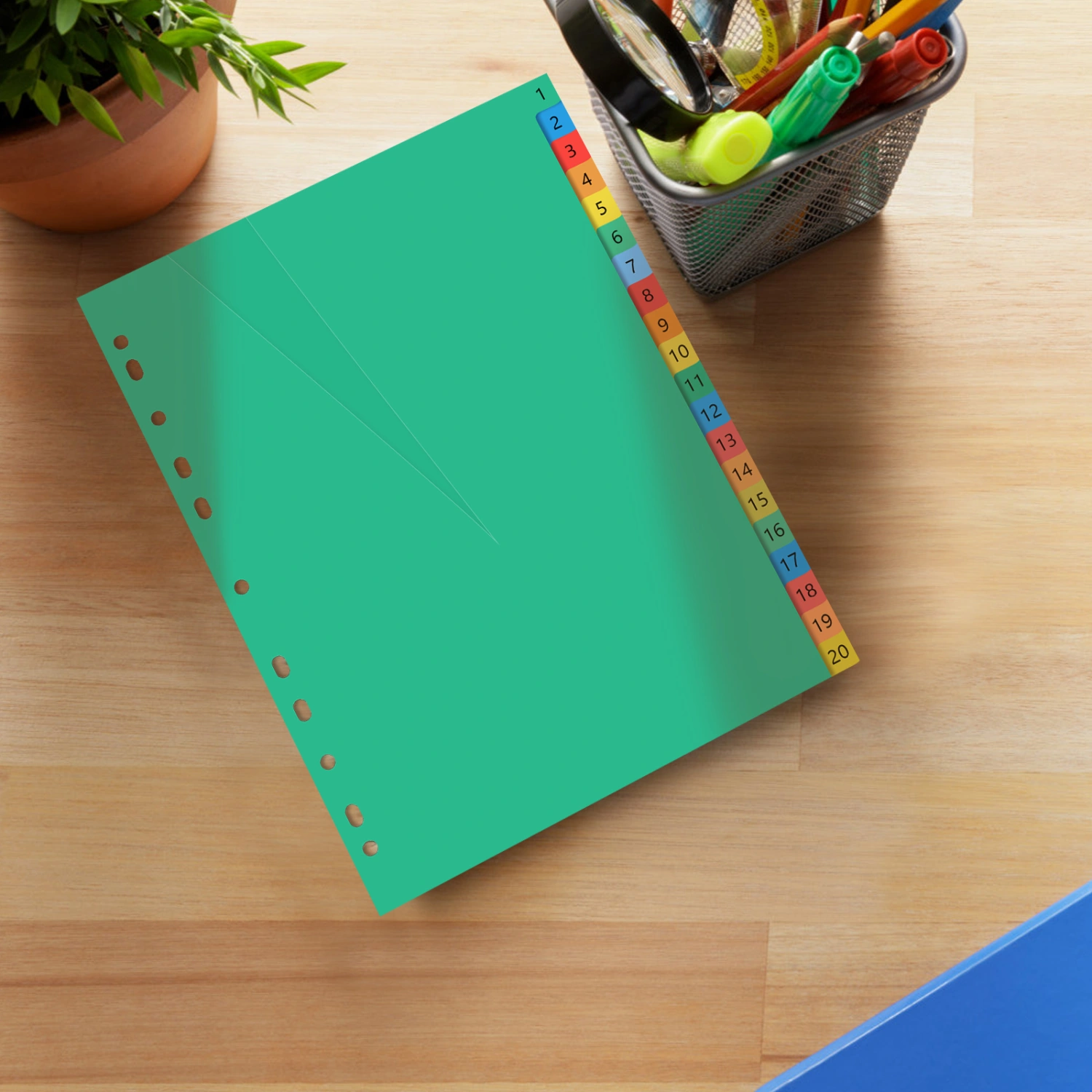 20 Pages A4 Colorful Index Page Classified Lables Plastic Tab Dividers (Color Printed Number)