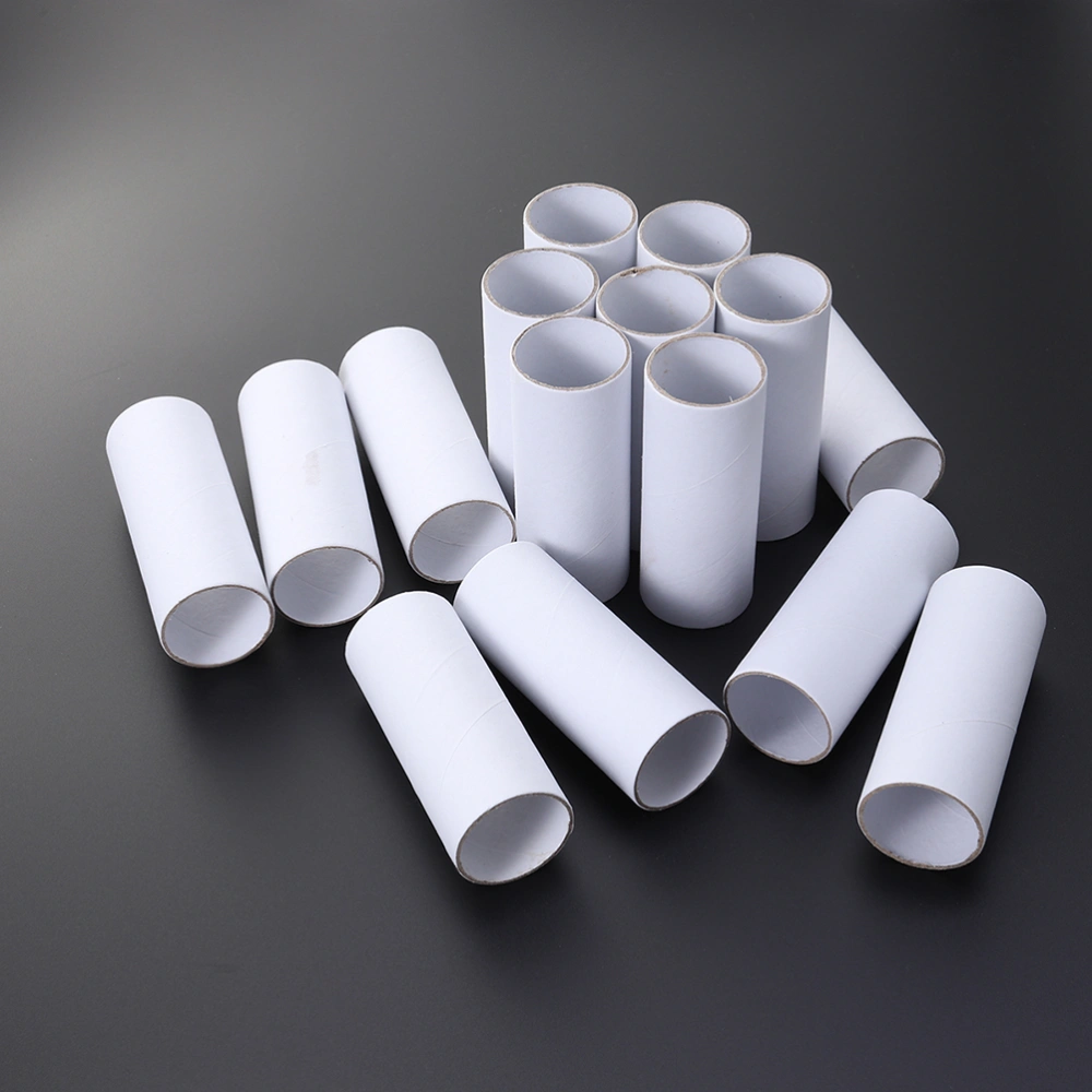 30PCS Craft Rolls Creative Fun Cardboard Tubes for DIY Art and Craft Children Drawing White