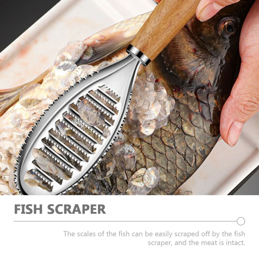 Stainless Steel Fish Skin Peeler Scale Scraper Practical Fish Scale Peeler