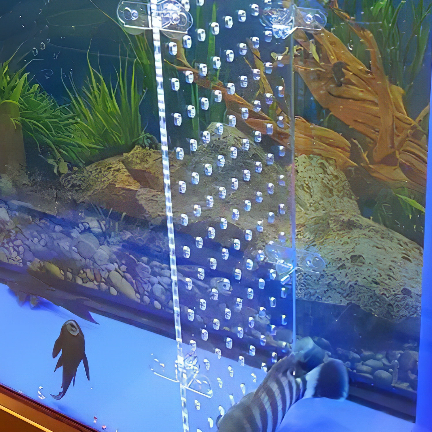 Aquarium Fish Tank Divider Acrylic Isolation Board Transparent Fish Tank Divider Aquarium Supply