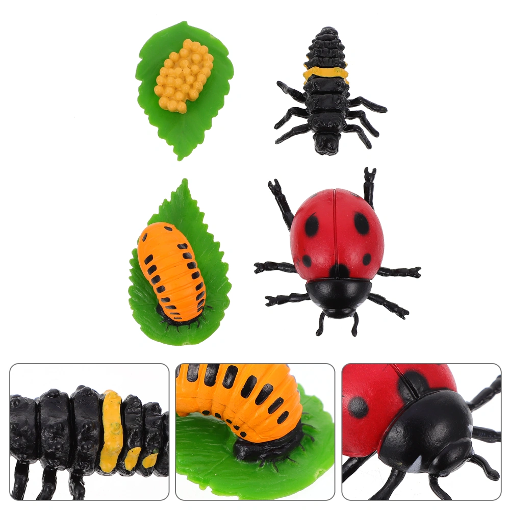 4Pcs Insect Figurines Life Cycle of Ladybug Ornaments Funny Kids Plaything