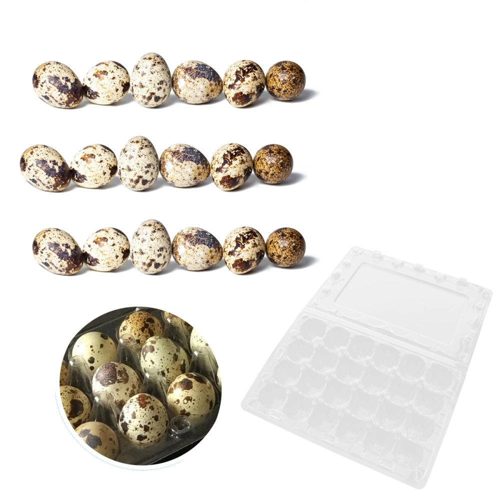 12 Pcs 24 Grids Plastic Egg Flat Quail Egg Storage Box Egg Carrier Packaging Box