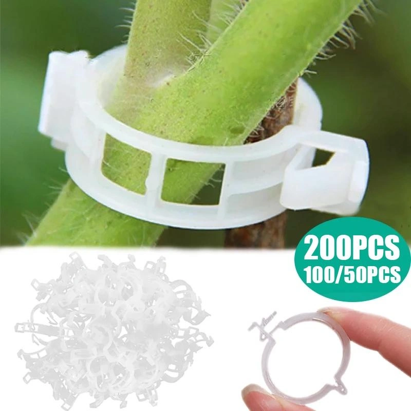 50/100/200pcs Plastic Plant Clips Supports Connects Reusable Protection Grafting Fixing Plant Vegetable Tomato Tools Garden Supplies