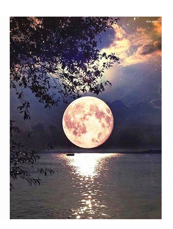Moon Diamond Painting Full Square Drill Cross Stitch