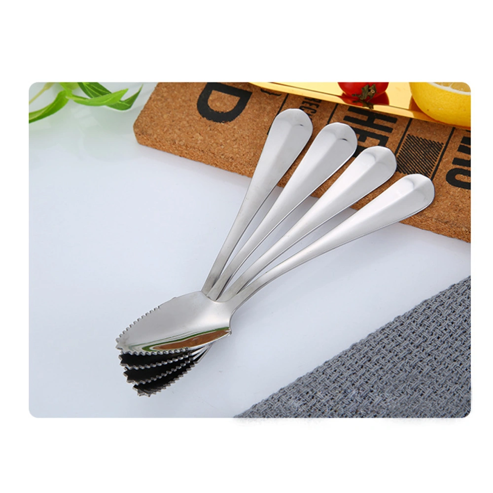 2 Pcs Stainless Steel Fruit Spoons with Serrated Long Handle Grapefruit and Dessert Spoon Coffee Stirring Spoons