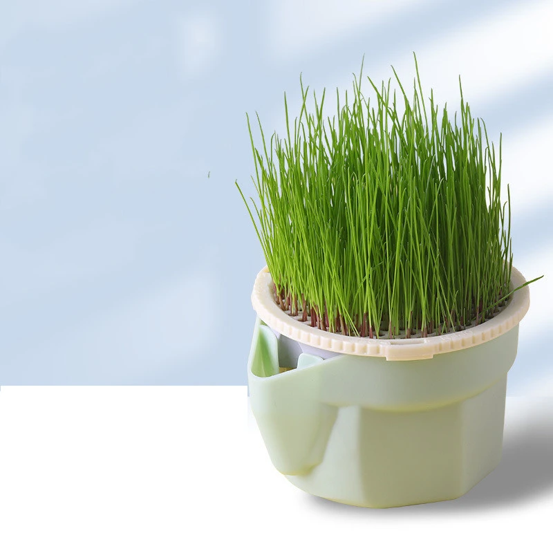 Cat Grass Cup Soilless Hydroponic Seed Spit Hair Ball Snacks