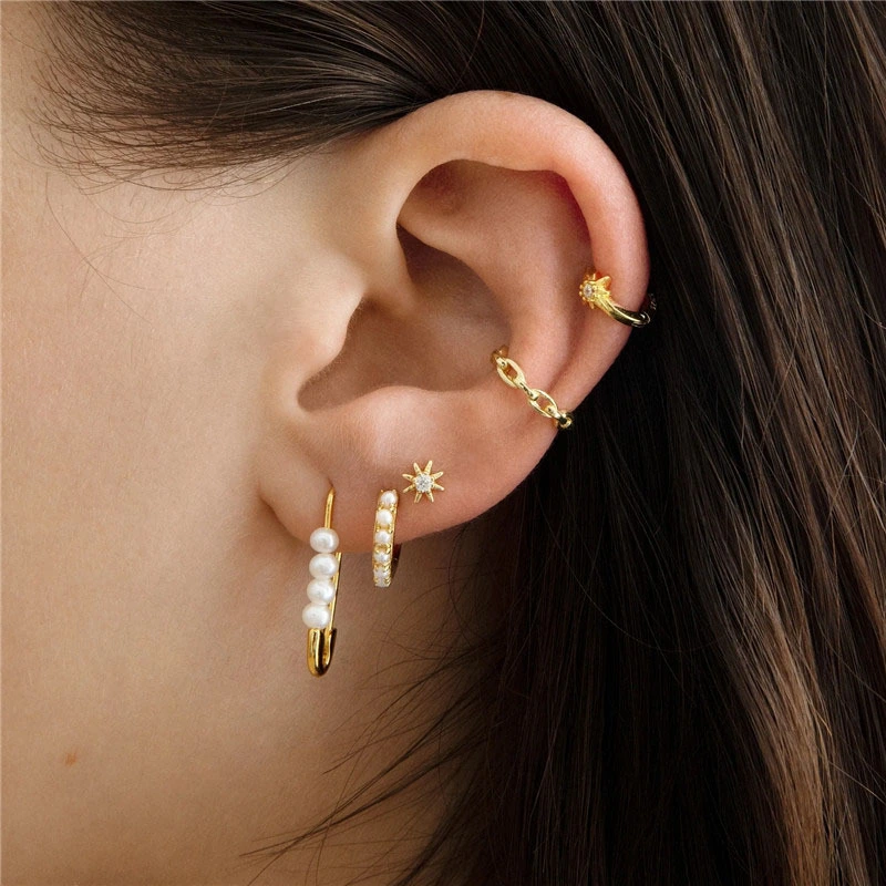 Ladies New Trendy Earrings Suit