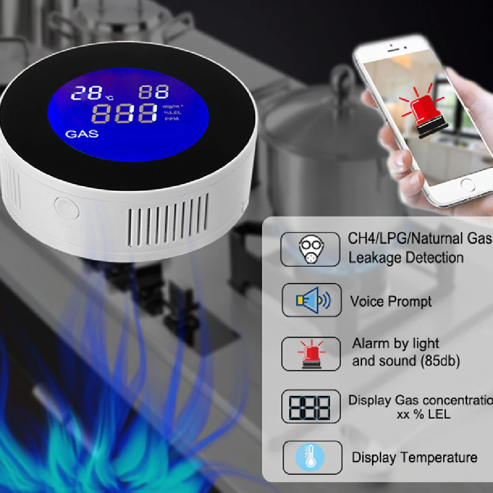 Graffiti Smart Wifi Gas Alarm