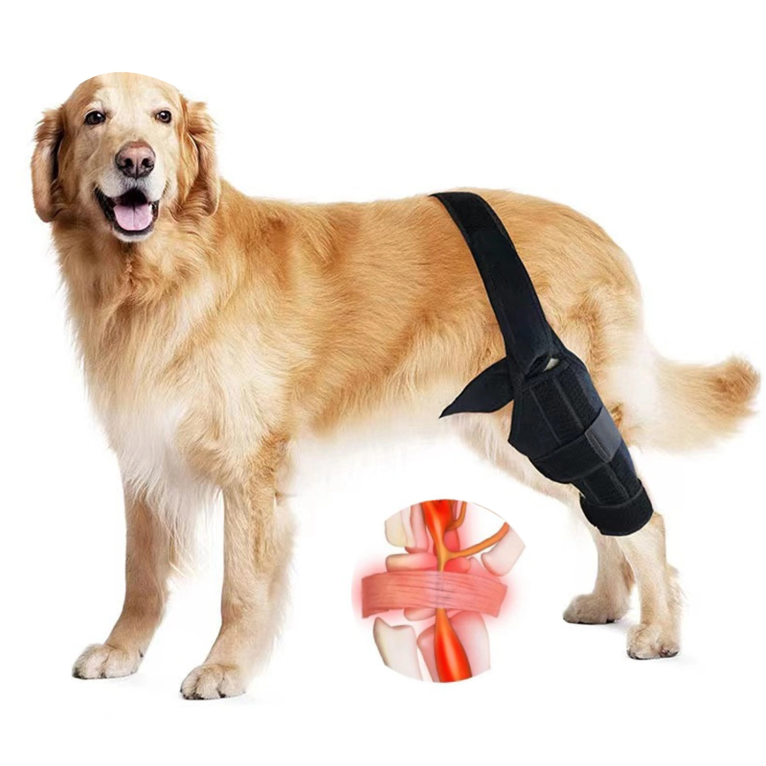 Fastener Tape Dog Leg Bandage Breathable Fine Sewing High Strength Adjustable Pet Dog Rear Leg Brace Pet Supplies