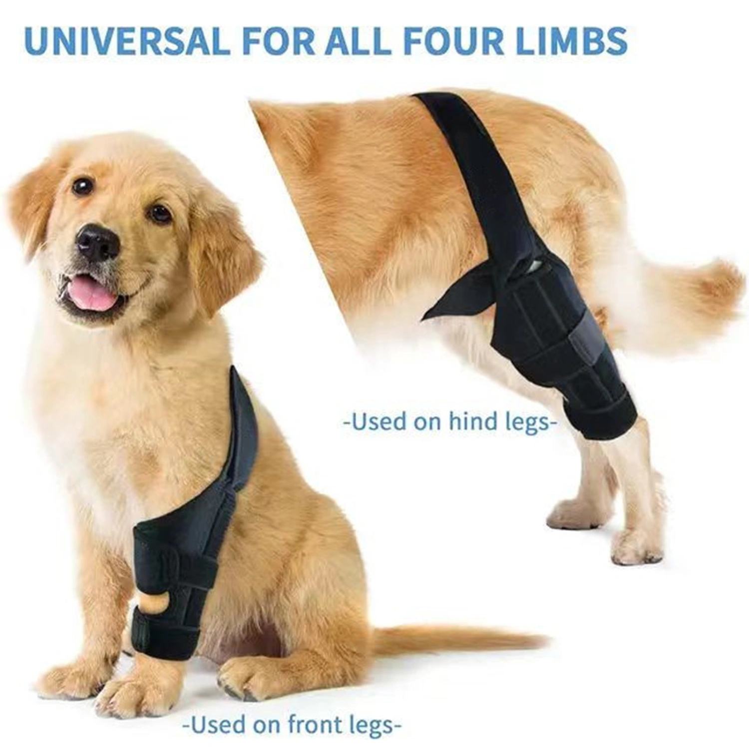 Fastener Tape Dog Leg Bandage Breathable Fine Sewing High Strength Adjustable Pet Dog Rear Leg Brace Pet Supplies