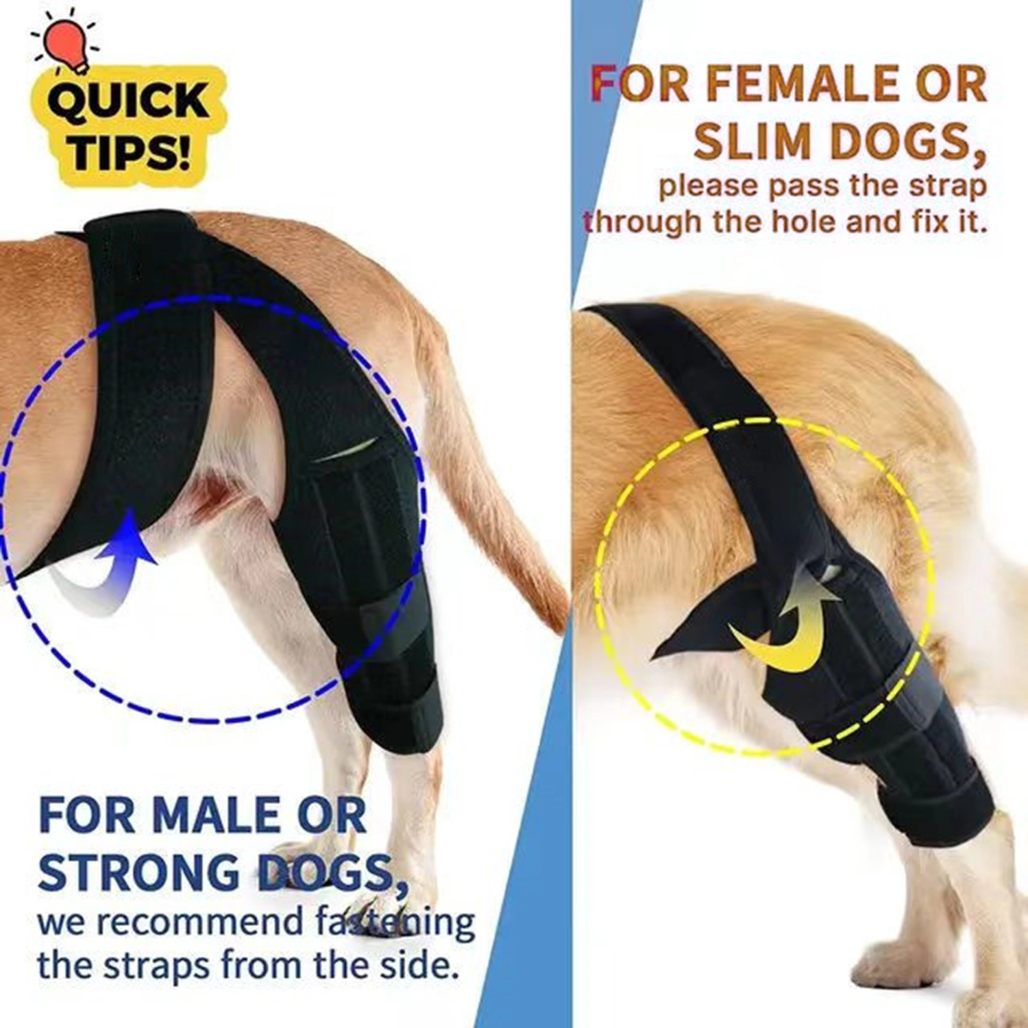 Fastener Tape Dog Leg Bandage Breathable Fine Sewing High Strength Adjustable Pet Dog Rear Leg Brace Pet Supplies