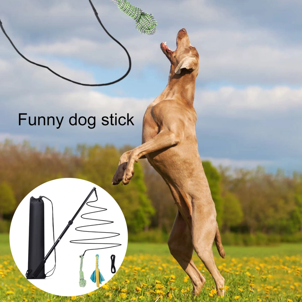 1 Set Dog Wand High Durability Bite-resistant Retractable Pole Design Grip Comfortable Multipurpose Relieve Stress Outdoor Interactive Pet Dog Flirt Pole Teaser Wand Set Pet Supplies