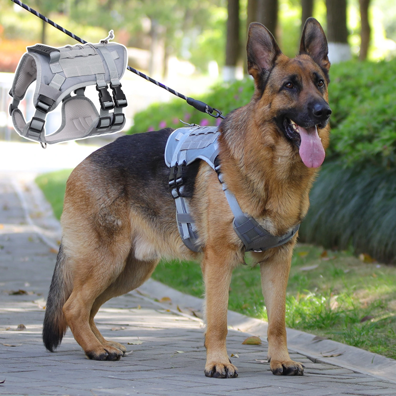 Dog Harness Inserting Buckle Adjustable Firmly Fixed Waterproof Explosion-proof Outing Traction Oxford Cloth Medium Large Pet Harness for Outdoor