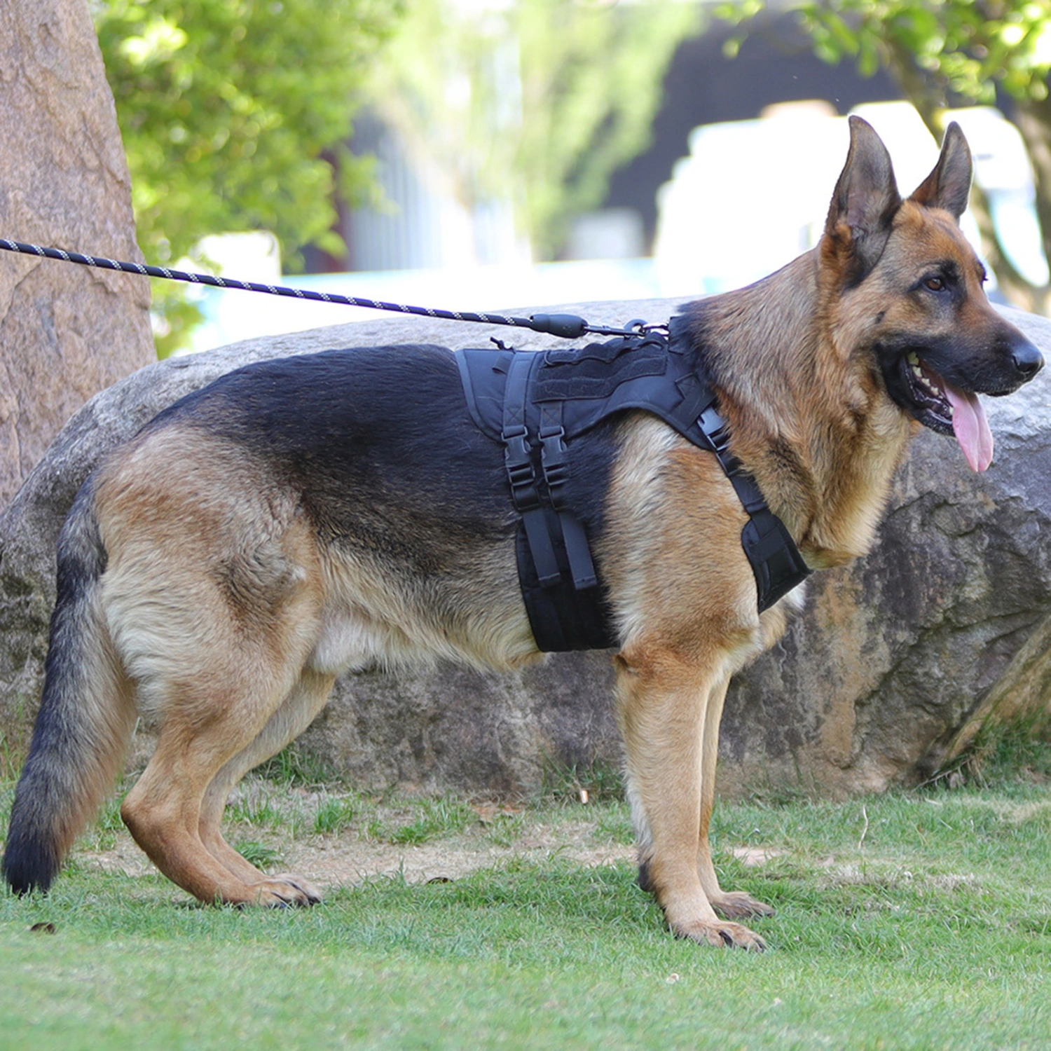Dog Harness Inserting Buckle Adjustable Firmly Fixed Waterproof Explosion-proof Outing Traction Oxford Cloth Medium Large Pet Harness for Outdoor