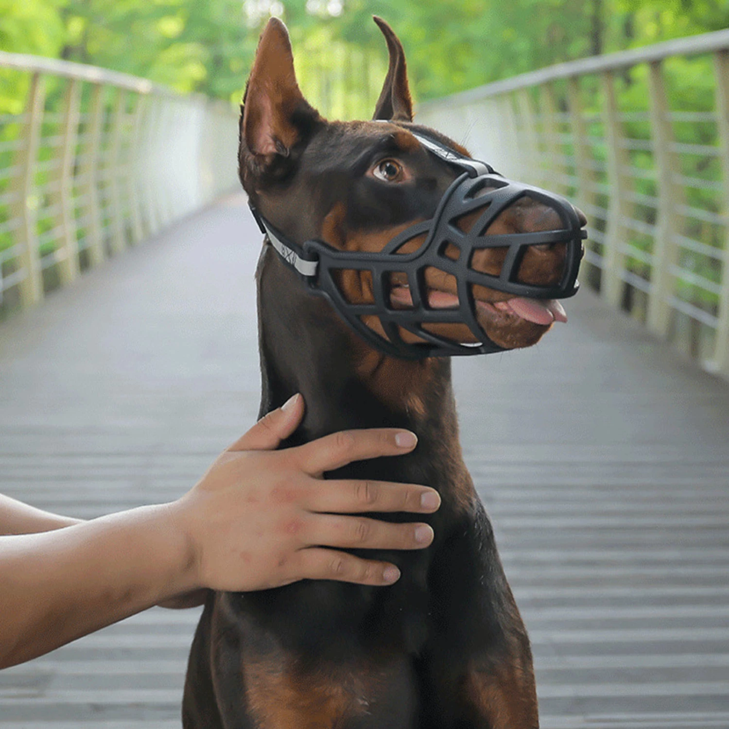 Dog Muzzle Buckle Design Innovative Wear-resistant Sturdy Tear-resistant Anti-bite Hollow Out Pet Anti-Barking Muzzles Face Guard for Outing