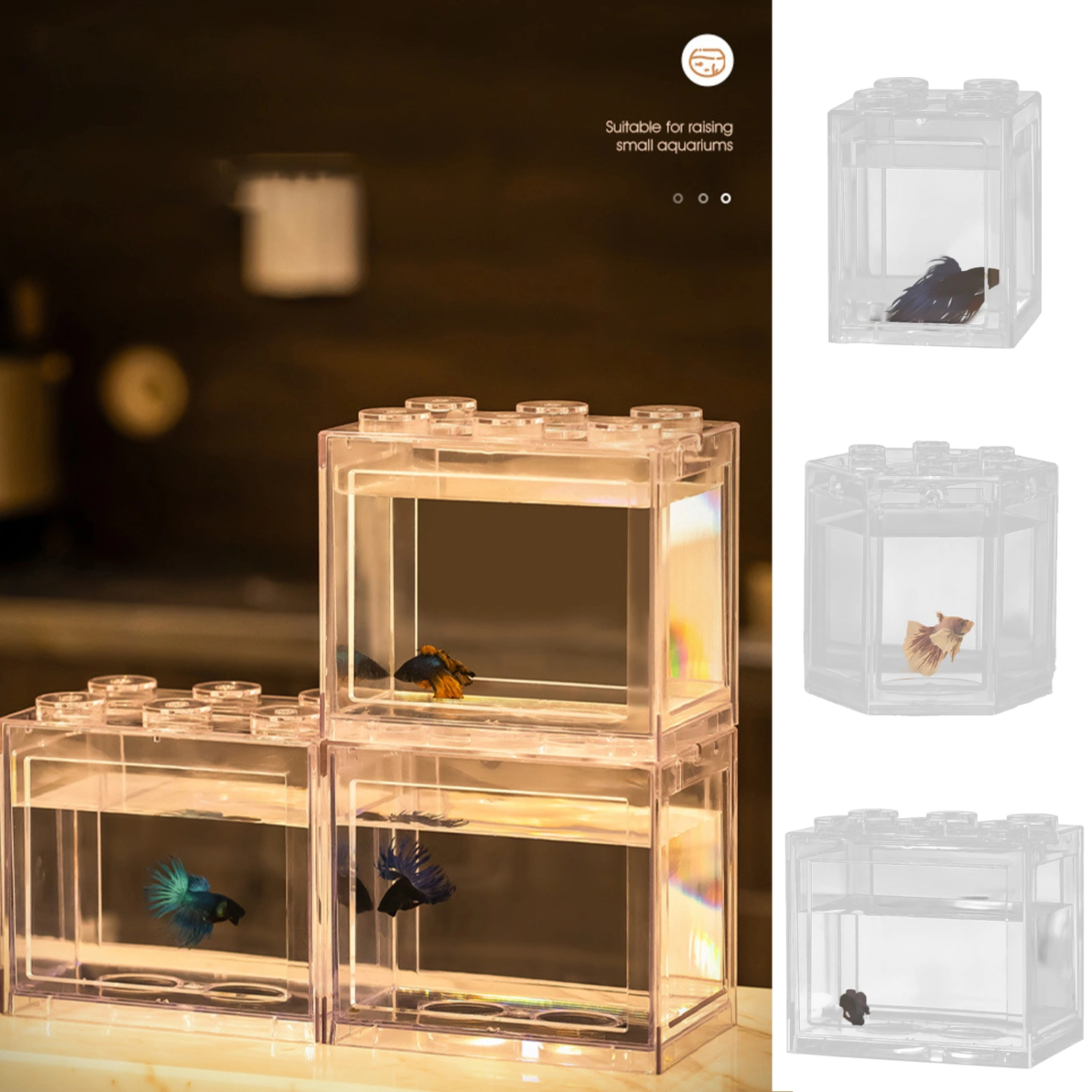 Mini Fish Tank with LED Light Micro Landscape Ecological Tank Fish Shrimp Breeding Aquarium Tank for Reptile Jellyfish Goldfish 