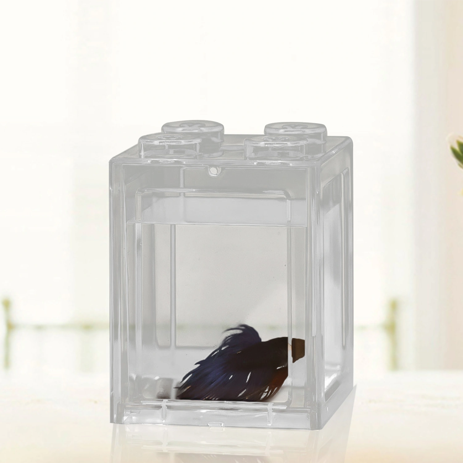 Mini Fish Tank with LED Light Micro Landscape Ecological Tank Fish Shrimp Breeding Aquarium Tank for Reptile Jellyfish Goldfish 