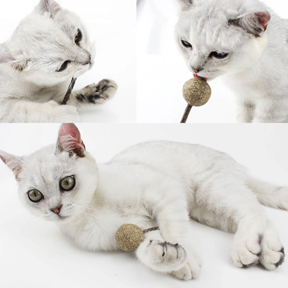 Lollipop Shape Catnip Ball Cat Toy Kitten Teeth Cleaning Snack Silvervine Stick