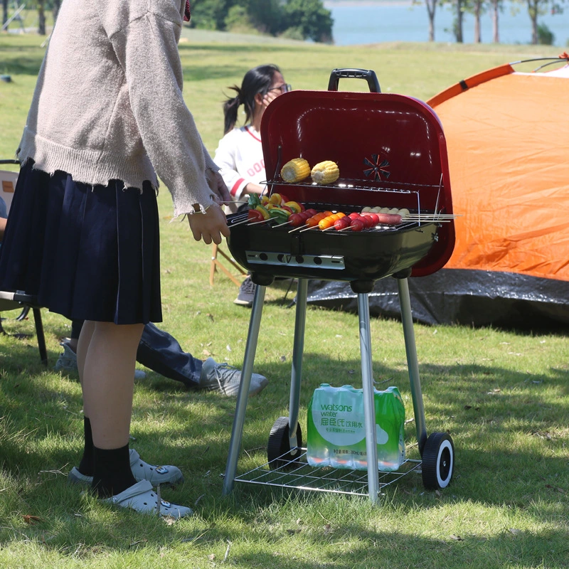 Hamburg Outdoor Grill Camping Courtyard